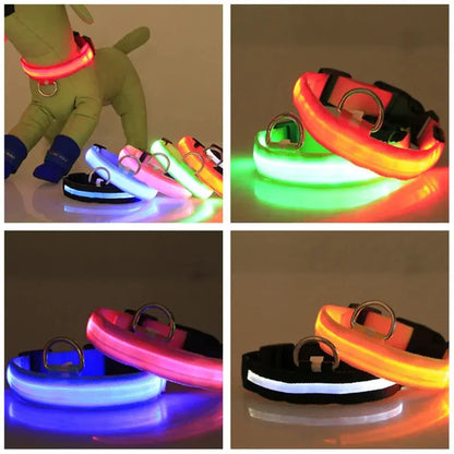 LED Adjustable Dog Collar Blinking Flashing Light Up Glow Pets Safety Waterproof Generevo