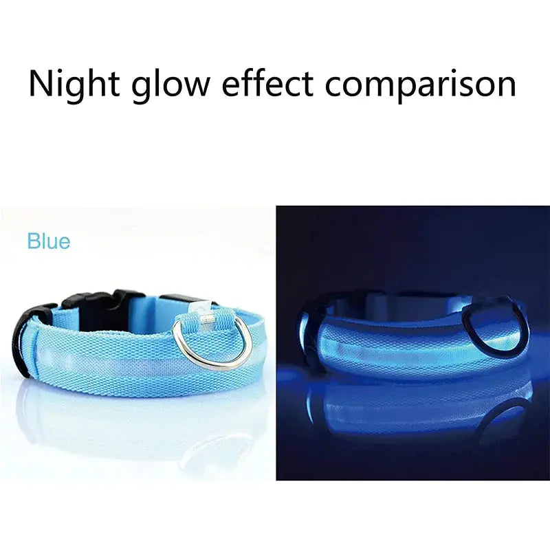 LED Adjustable Dog Collar Blinking Flashing Light Up Glow Pets Safety Waterproof Generevo