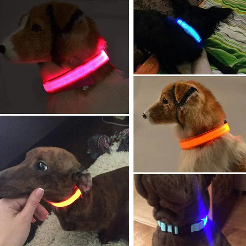 LED Adjustable Dog Collar Blinking Flashing Light Up Glow Pets Safety Waterproof Generevo