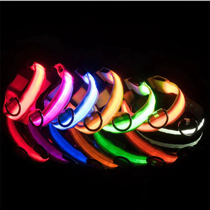 LED Adjustable Dog Collar Blinking Flashing Light Up Glow Pets Safety Waterproof Generevo