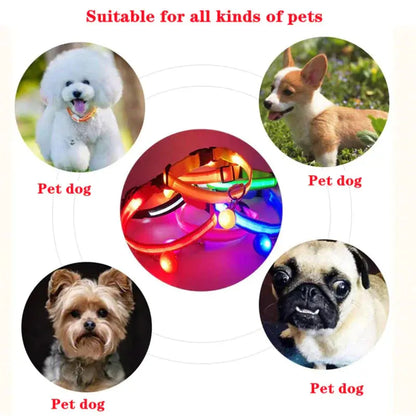 LED Adjustable Dog Collar Blinking Flashing Light Up Glow Pets Safety Waterproof Generevo