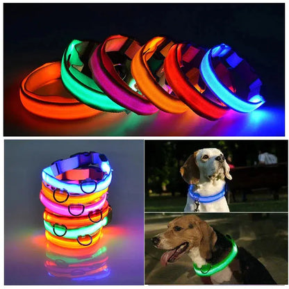 LED Adjustable Dog Collar Blinking Flashing Light Up Glow Pets Safety Waterproof Generevo