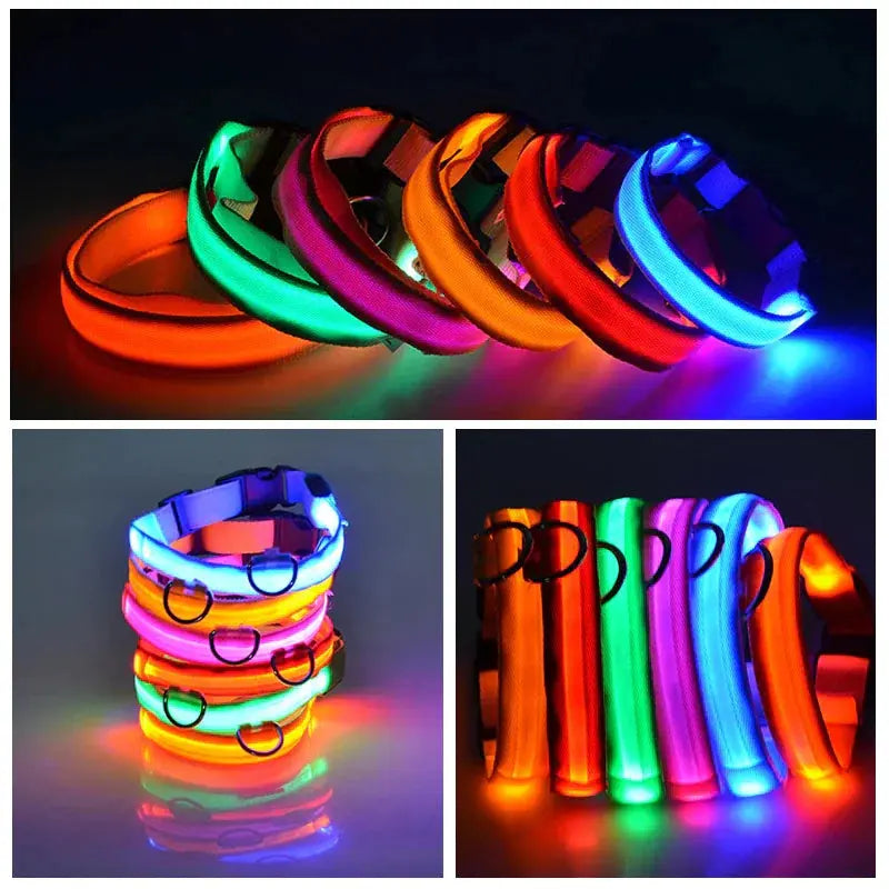 LED Adjustable Dog Collar Blinking Flashing Light Up Glow Pets Safety Waterproof Generevo