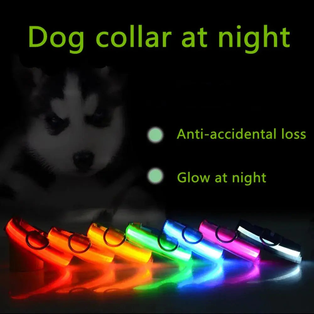 LED Adjustable Dog Collar Blinking Flashing Light Up Glow Pets Safety Waterproof Generevo