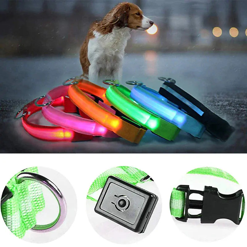 LED Adjustable Dog Collar Blinking Flashing Light Up Glow Pets Safety Waterproof Generevo