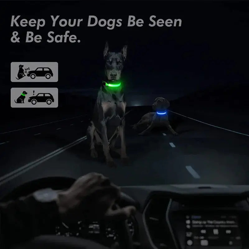 LED Adjustable Dog Collar Blinking Flashing Light Up Glow Pets Safety Waterproof Generevo