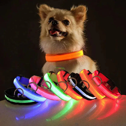 LED Adjustable Dog Collar Blinking Flashing Light Up Glow Pets Safety Waterproof Generevo