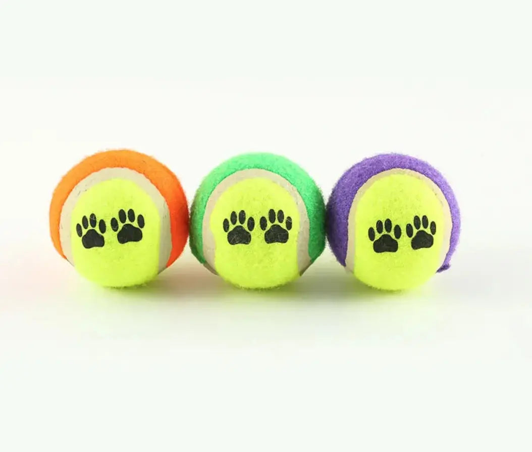 Outdoor Dog Training Throw Toy Generevo